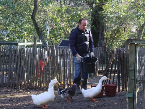Richard nourrit des canards dans une ferme